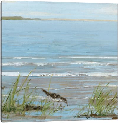 Afternoon On The Shore II Canvas Art Print - Sally Swatland