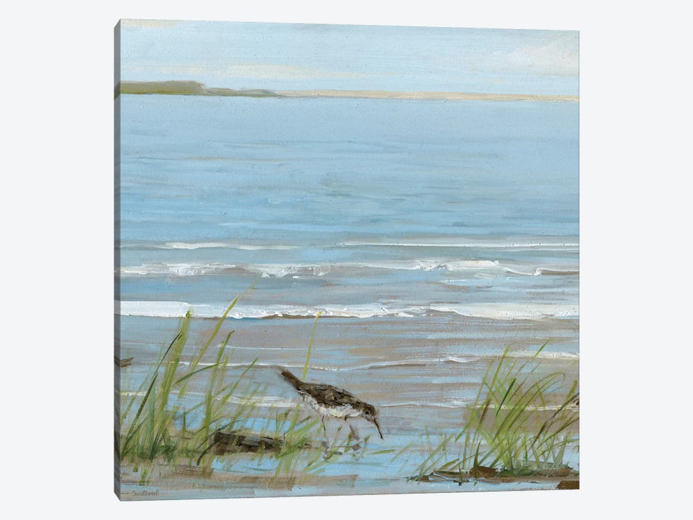 Afternoon On The Shore II by Sally Swatland 1-piece Canvas Wall Art