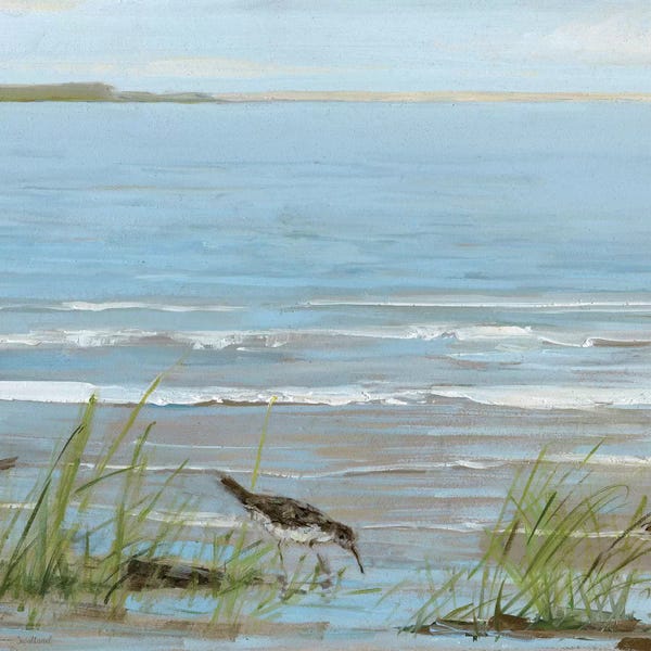 Large Coastal Art - Canvas Prints: Afternoon On The Shore II by Sally Swatland
