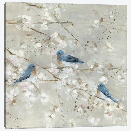 Blue Bird Melody II Canvas Print #SWA303} by Sally Swatland Canvas Artwork