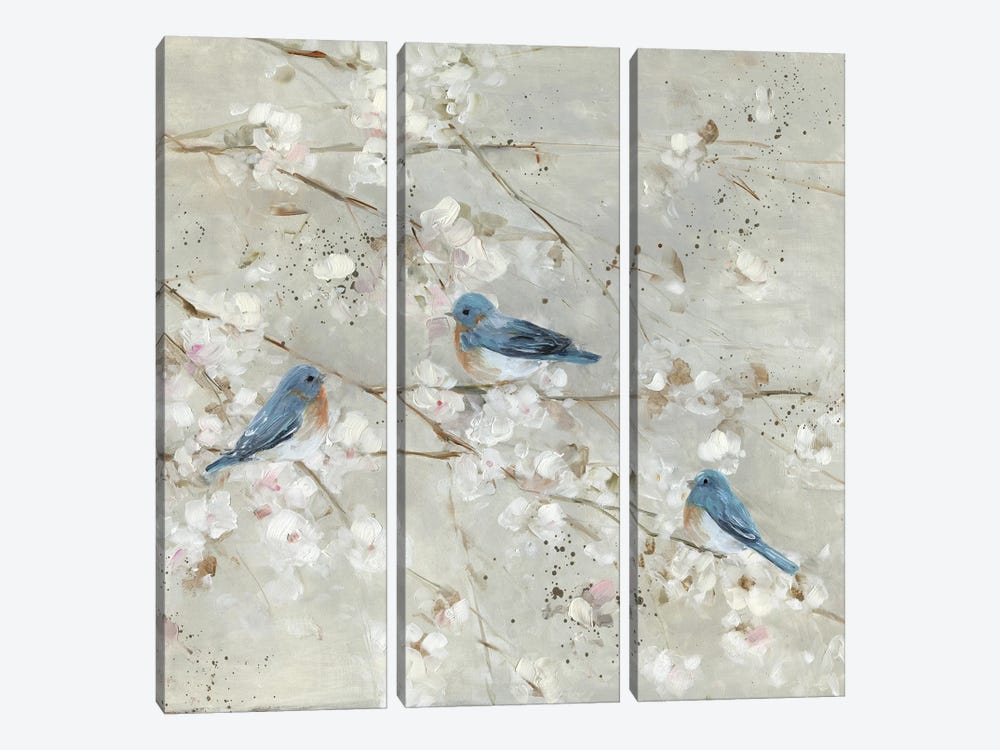 Blue Bird Melody II by Sally Swatland 3-piece Canvas Wall Art