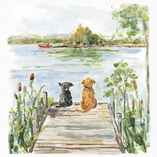 Lakehouse Décor: Lake Buddies by Sally Swatland