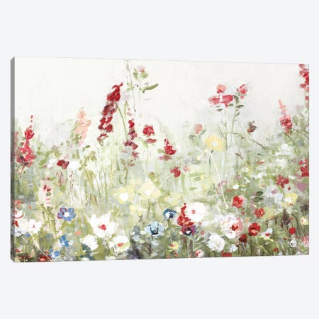 Sweet Spring Meadow Canvas Print #SWA324} by Sally Swatland Art Print