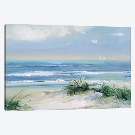 Coastal Breezes Canvas Print #SWA331} by Sally Swatland Canvas Art Print