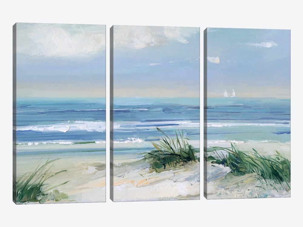 Coastal Breezes by Sally Swatland 3-piece Canvas Print