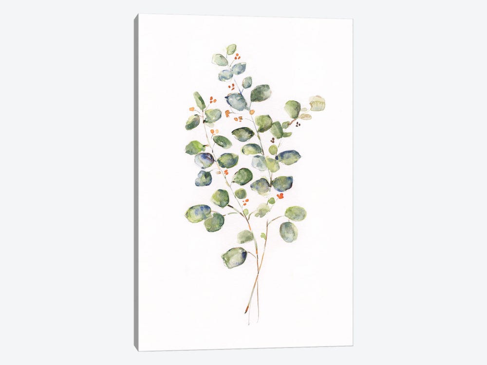 Eucalyptus II by Sally Swatland 1-piece Canvas Art