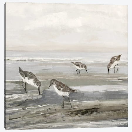 Evening Beach I Canvas Print #SWA333} by Sally Swatland Canvas Print