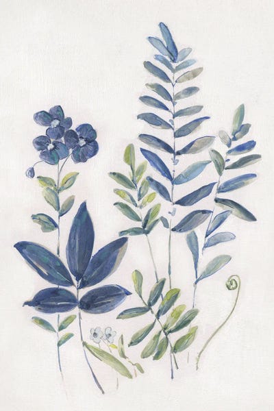 Fern Study I by Sally Swatland acrylic art print