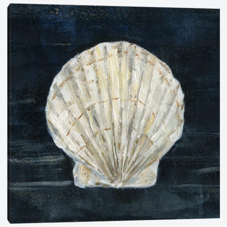 Night Shell I Canvas Print #SWA341} by Sally Swatland Canvas Wall Art