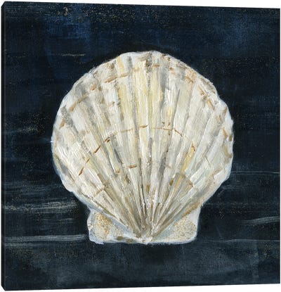 Night Shell I Canvas Art Print - Sea Shell Art