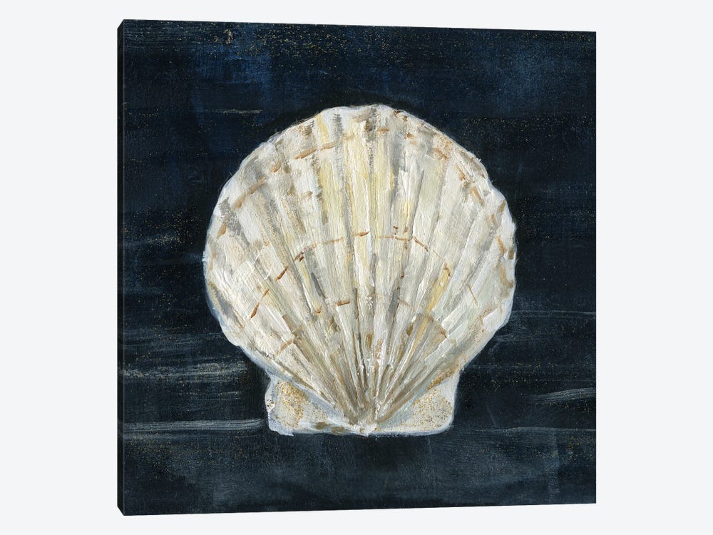 Night Shell I by Sally Swatland 1-piece Canvas Art