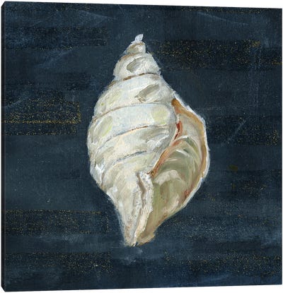 Night Shell II Canvas Art Print - Sea Shell Art