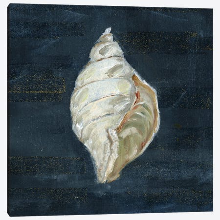 Night Shell II Canvas Print #SWA342} by Sally Swatland Canvas Artwork