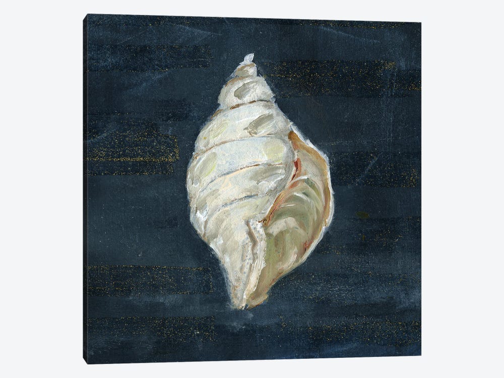 Night Shell II by Sally Swatland 1-piece Canvas Art Print