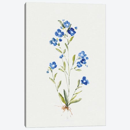 Petite Blue I Canvas Print #SWA344} by Sally Swatland Canvas Print