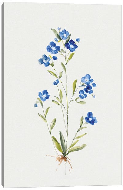 Petite Blue I Canvas Art Print - Sally Swatland