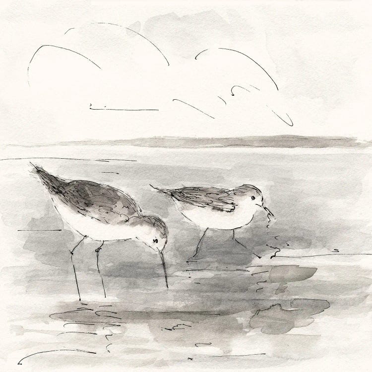 Sand Piper I