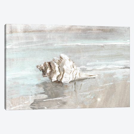 Washed Ashore I Canvas Print #SWA352} by Sally Swatland Canvas Print