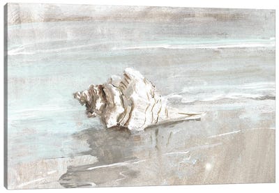 Washed Ashore I Canvas Art Print - Large Coastal Art