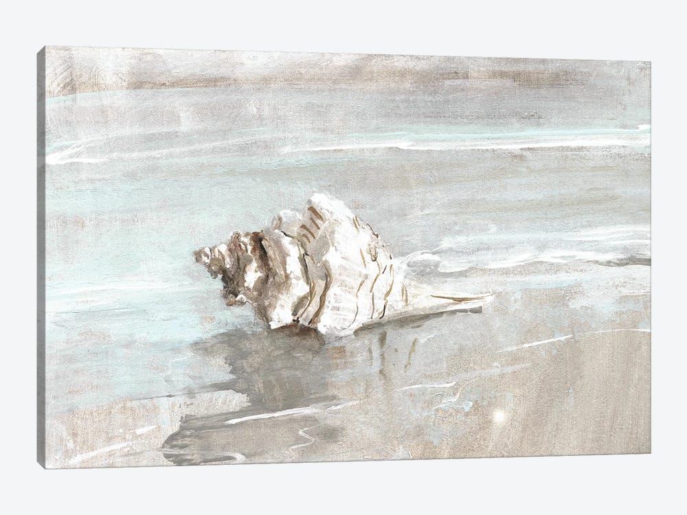 Washed Ashore I by Sally Swatland 1-piece Canvas Artwork