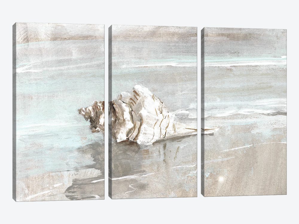 Washed Ashore I by Sally Swatland 3-piece Canvas Artwork