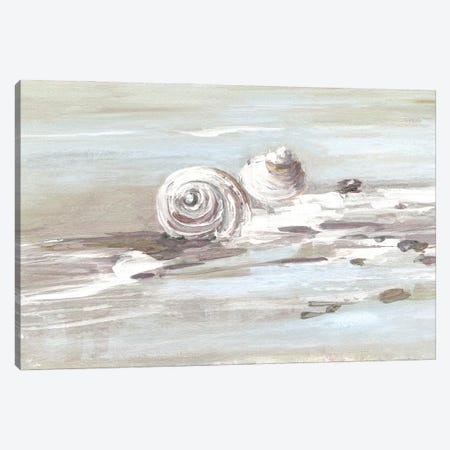 Washed Ashore II Canvas Print #SWA353} by Sally Swatland Art Print