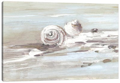 Washed Ashore II Canvas Art Print - Sea Shell Art
