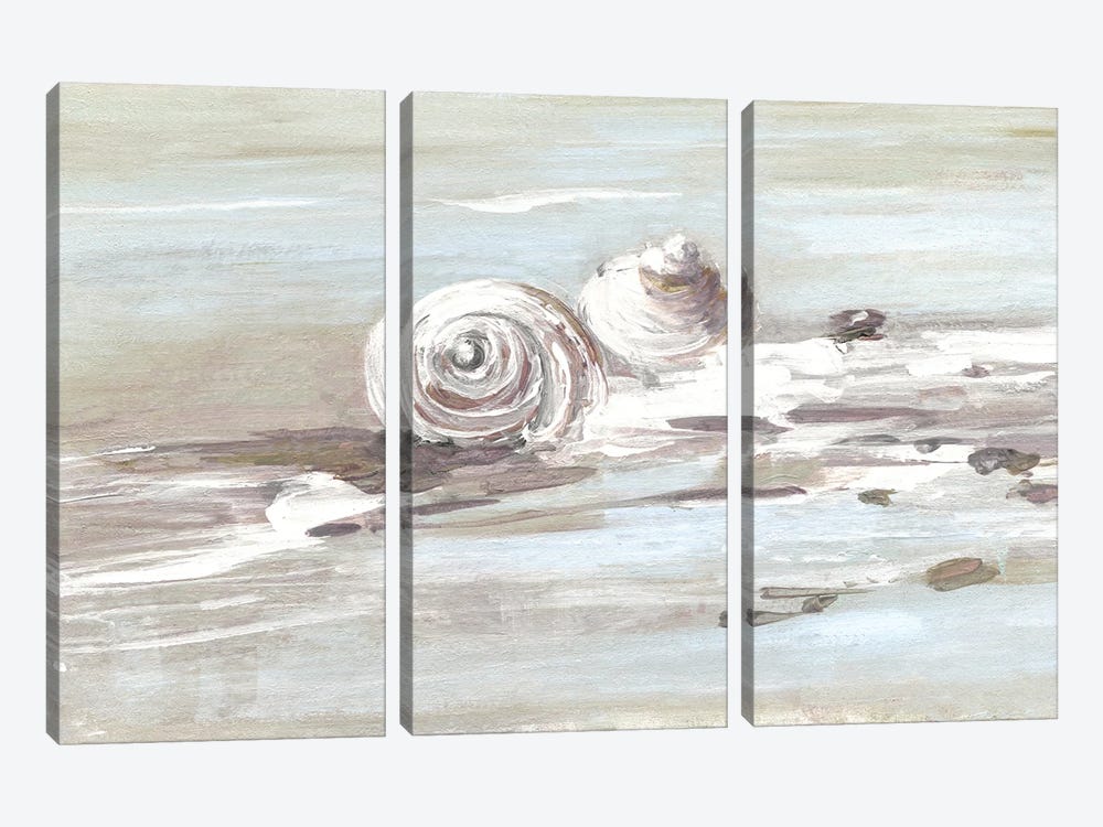 Washed Ashore II 3-piece Canvas Print