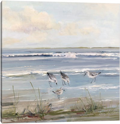 Beach Hopping Canvas Art Print - Sally Swatland