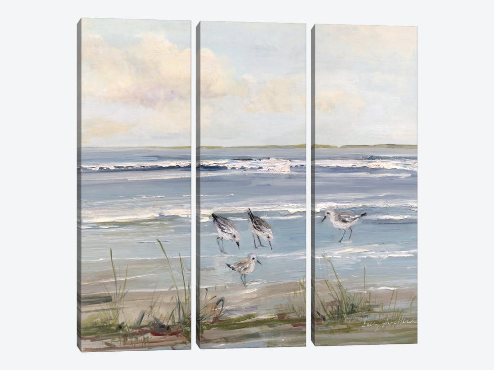 Beach Hopping by Sally Swatland 3-piece Canvas Artwork