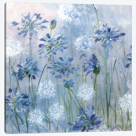 Dandelion and Agapanthus Canvas Print #SWA355} by Sally Swatland Canvas Wall Art