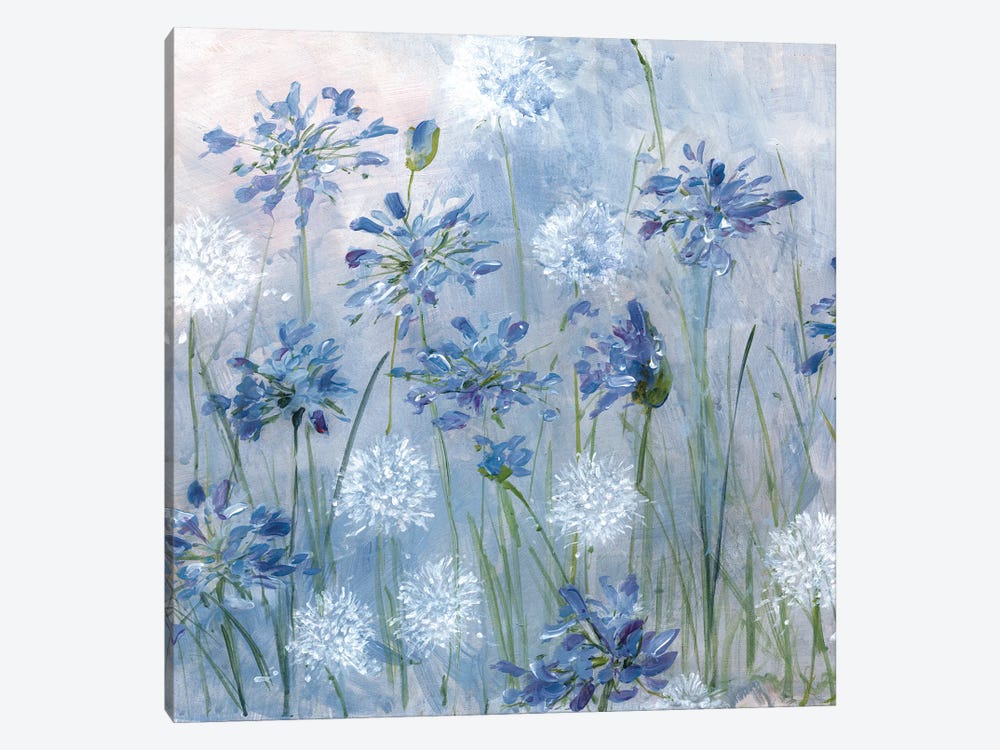 Dandelion and Agapanthus by Sally Swatland 1-piece Canvas Print