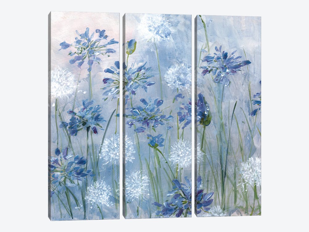 Dandelion and Agapanthus by Sally Swatland 3-piece Canvas Art Print