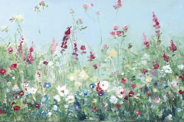 Sweet Summer Meadow