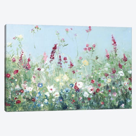 Sweet Summer Meadow Canvas Print #SWA362} by Sally Swatland Canvas Art