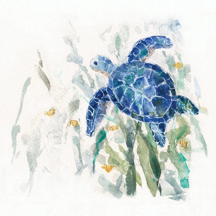 Turtle Cove II by Sally Swatland wall art
