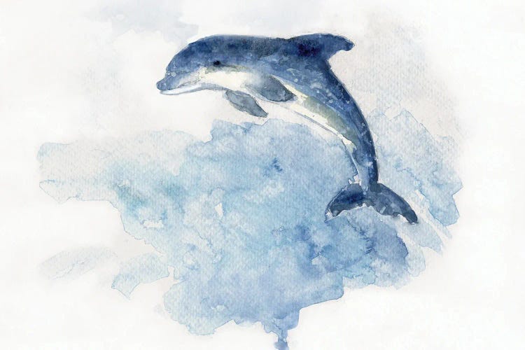 Wave Jumping by Sally Swatland wall art