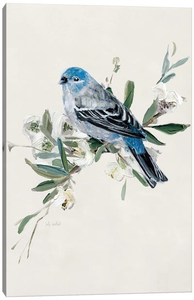 Bluebird Happy II Canvas Art Print - Sally Swatland