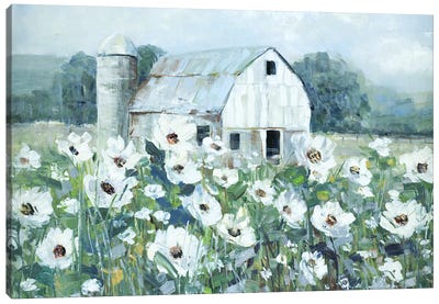 Dream Fields Canvas Art Print - Field, Grassland & Meadow Art