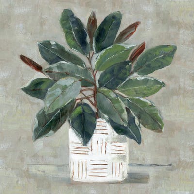 Simple Tropic I by Sally Swatland acrylic art print