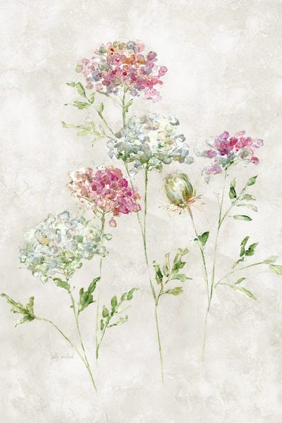 Soft Lace II by Sally Swatland acrylic art print