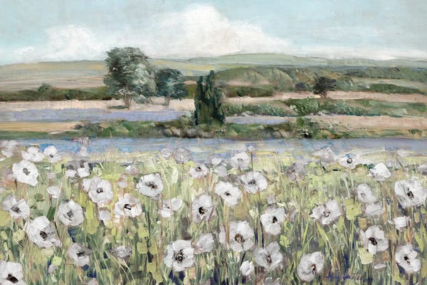 Poppies: Vintage Poppy Valley by Sally Swatland