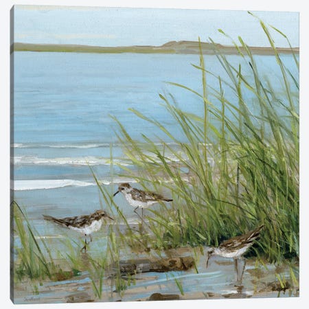 Afternoon On The Shore III Canvas Print #SWA3} by Sally Swatland Canvas Wall Art