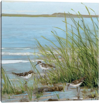 Afternoon On The Shore III Canvas Art Print - Sally Swatland