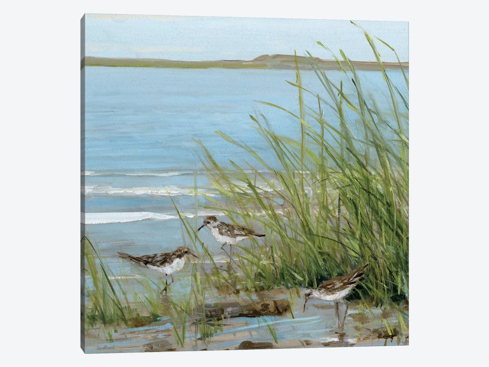 Afternoon On The Shore III by Sally Swatland 1-piece Canvas Print
