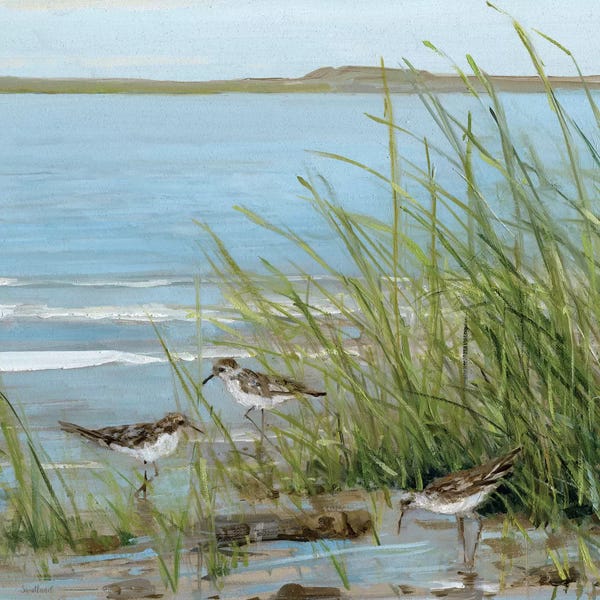 Large Coastal Art - Canvas Prints: Afternoon On The Shore III by Sally Swatland
