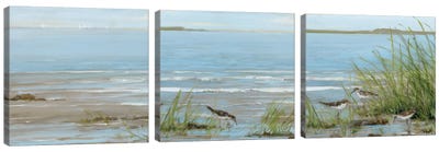 Afternoon On The Shore Triptych Canvas Art Print - Sandy Beach Art