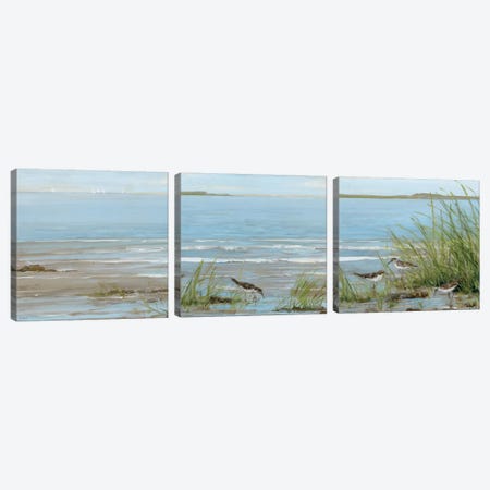 Afternoon On The Shore Triptych Canvas Print Set #SWA3HSET001} by Sally Swatland Canvas Print