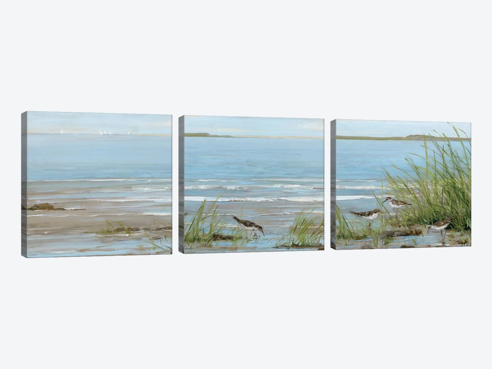Afternoon On The Shore Triptych by Sally Swatland 3-piece Canvas Print