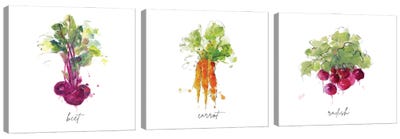 Vegetables Canvas Art | iCanvas